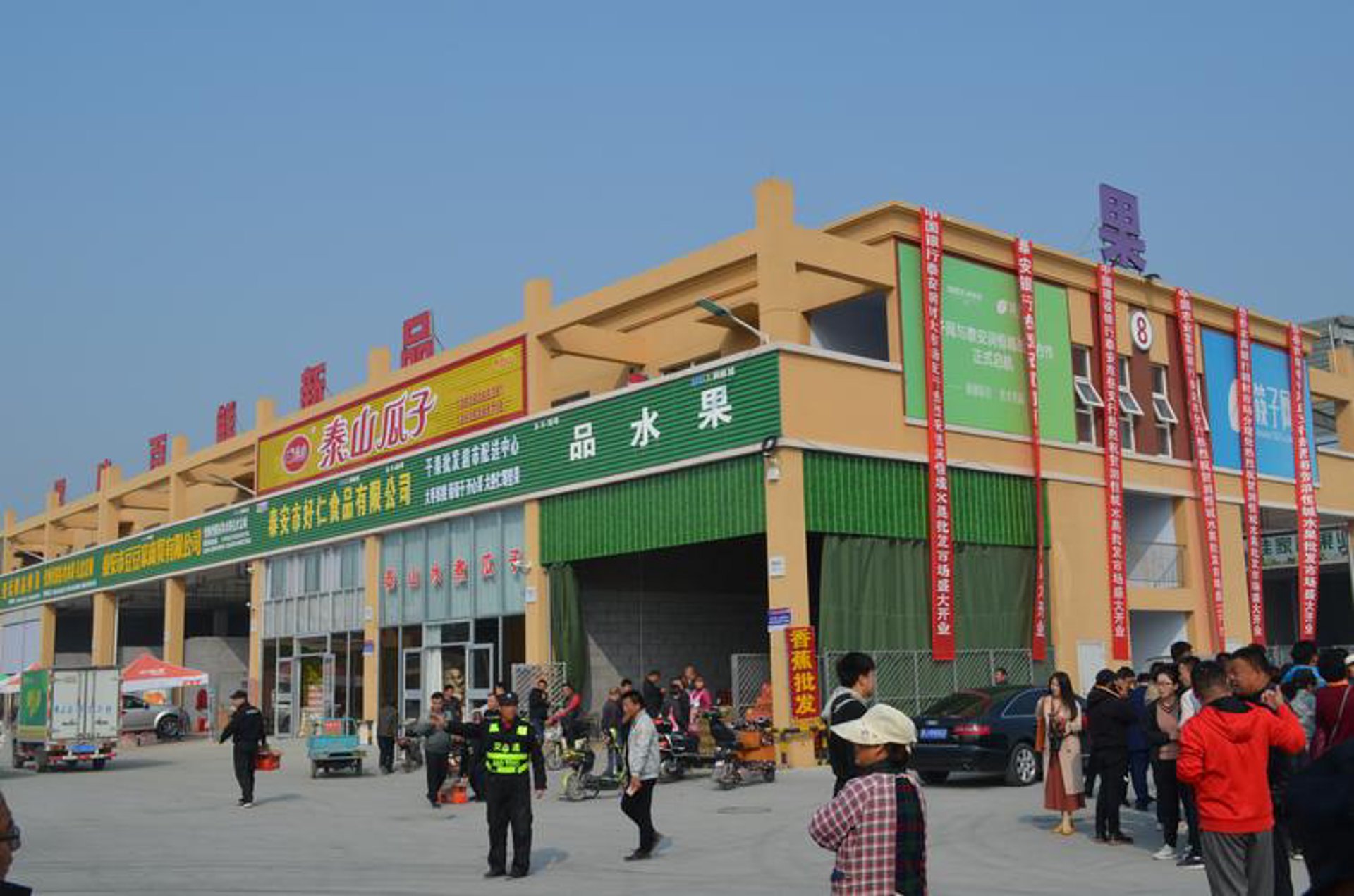 果物水果批发